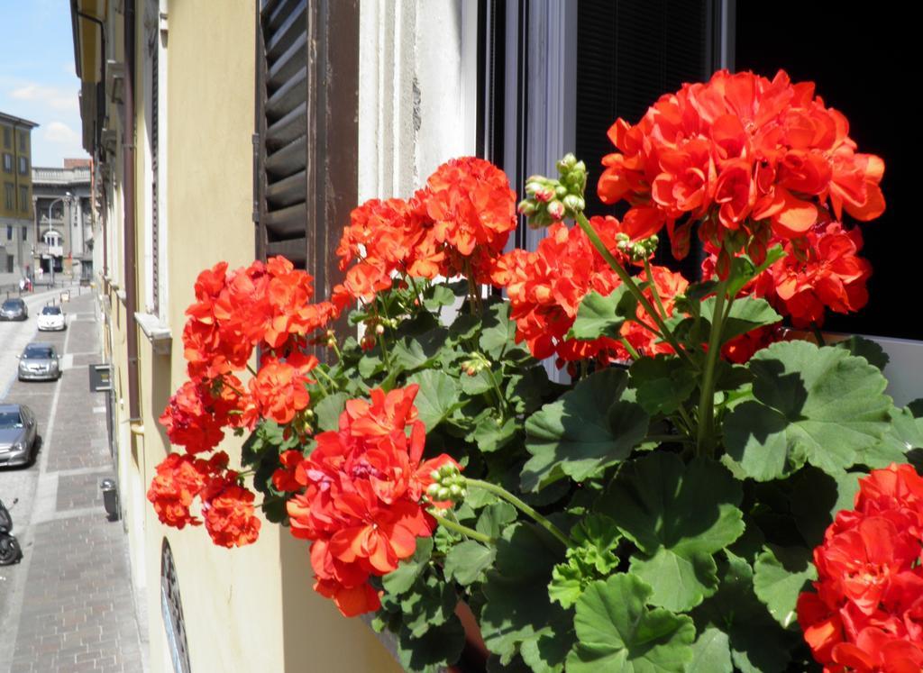 In Centro Charme Bed and Breakfast Bergamo Eksteriør billede